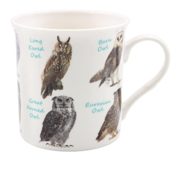 Owl Species Ceramic Mug – Gift Boxed