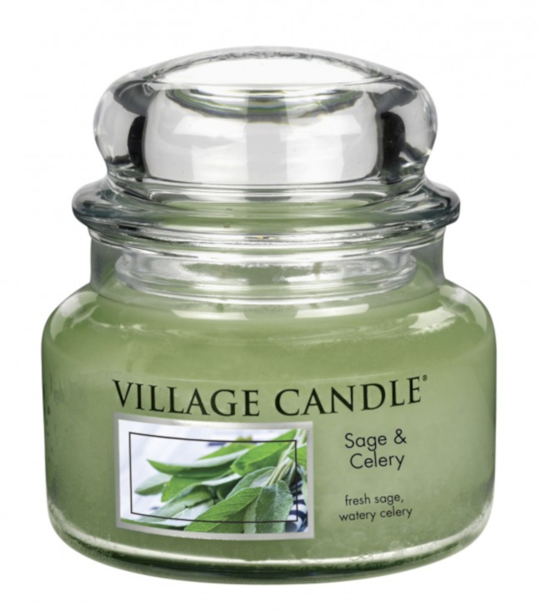Village Candle Sage and Celery Small Jar 262g